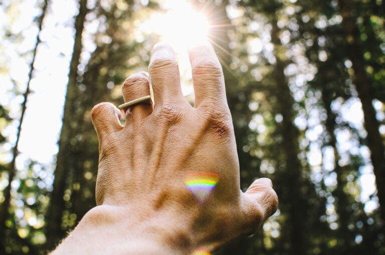 A hand reaching toward sunlit forest leaves